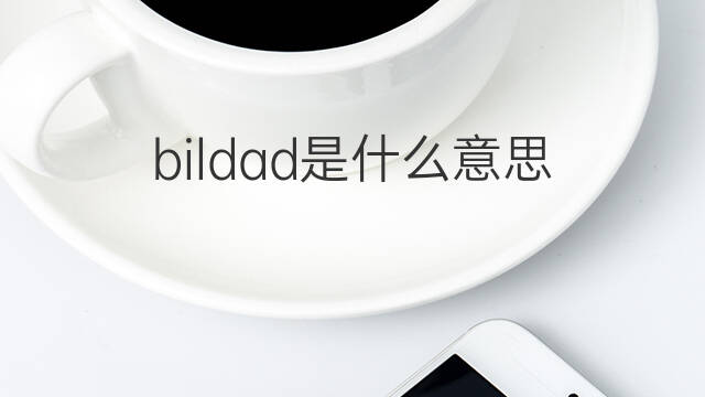 bildad是什么意思 bildad的中文翻译、读音、例句