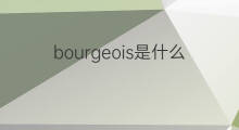 bourgeois是什么意思 bourgeois的中文翻译、读音、例句