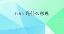 hilda是什么意思 hilda的中文翻译、读音、例句