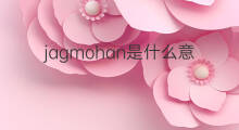 jagmohan是什么意思 jagmohan的中文翻译、读音、例句