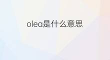 olea是什么意思 olea的中文翻译、读音、例句