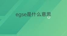 egse是什么意思 egse的中文翻译、读音、例句