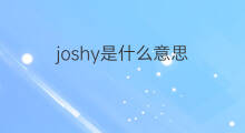joshy是什么意思 joshy的中文翻译、读音、例句