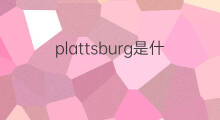 plattsburg是什么意思 plattsburg的中文翻译、读音、例句