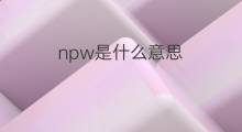 npw是什么意思 npw的中文翻译、读音、例句