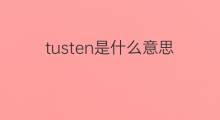 tusten是什么意思 tusten的中文翻译、读音、例句