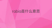 rabia是什么意思 rabia的中文翻译、读音、例句