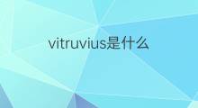 vitruvius是什么意思 vitruvius的中文翻译、读音、例句