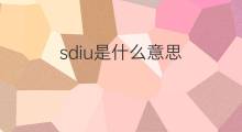 sdiu是什么意思 sdiu的中文翻译、读音、例句