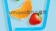 unhoped是什么意思 unhoped的中文翻译、读音、例句