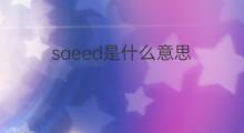 saeed是什么意思 saeed的中文翻译、读音、例句