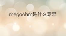 megaohm是什么意思 megaohm的中文翻译、读音、例句