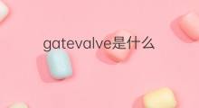 gatevalve是什么意思 gatevalve的中文翻译、读音、例句