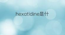 hexatidine是什么意思 hexatidine的中文翻译、读音、例句