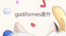 gadiformes是什么意思 gadiformes的中文翻译、读音、例句