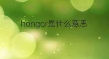 hongor是什么意思 hongor的中文翻译、读音、例句