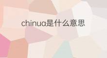 chinua是什么意思 英文名chinua的翻译、发音、来源