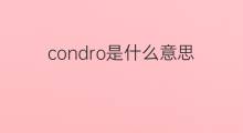condro是什么意思 condro的中文翻译、读音、例句