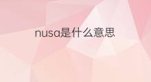 nusa是什么意思 nusa的中文翻译、读音、例句