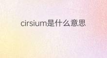 cirsium是什么意思 cirsium的中文翻译、读音、例句