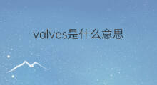 valves是什么意思 valves的中文翻译、读音、例句