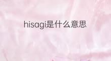 hisagi是什么意思 hisagi的中文翻译、读音、例句