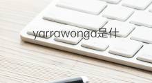 yarrawonga是什么意思 yarrawonga的中文翻译、读音、例句