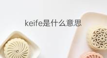 keife是什么意思 keife的中文翻译、读音、例句