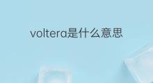 voltera是什么意思 voltera的中文翻译、读音、例句