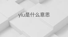 yiu是什么意思 yiu的中文翻译、读音、例句