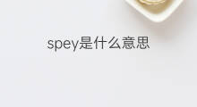 spey是什么意思 spey的中文翻译、读音、例句