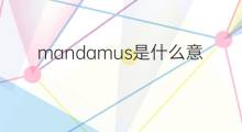 mandamus是什么意思 mandamus的中文翻译、读音、例句