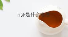 risk是什么意思 risk的中文翻译、读音、例句