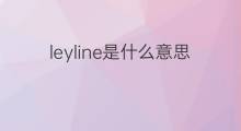 leyline是什么意思 leyline的中文翻译、读音、例句