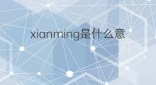 xianming是什么意思 xianming的中文翻译、读音、例句