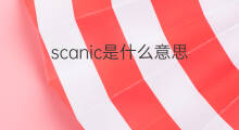 scanic是什么意思 scanic的中文翻译、读音、例句