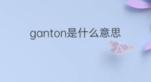 ganton是什么意思 ganton的中文翻译、读音、例句
