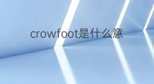 crowfoot是什么意思 crowfoot的中文翻译、读音、例句