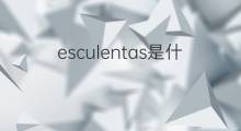 esculentas是什么意思 esculentas的中文翻译、读音、例句