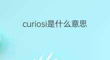 curiosi是什么意思 curiosi的中文翻译、读音、例句