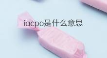 iacpo是什么意思 iacpo的中文翻译、读音、例句
