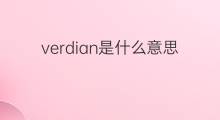 verdian是什么意思 verdian的中文翻译、读音、例句