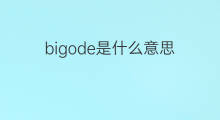 bigode是什么意思 bigode的中文翻译、读音、例句
