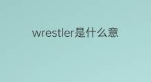 wrestler是什么意思 wrestler的中文翻译、读音、例句