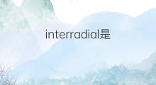 interradial是什么意思 interradial的中文翻译、读音、例句