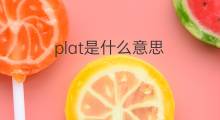 plat是什么意思 plat的中文翻译、读音、例句