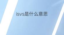 isvs是什么意思 isvs的中文翻译、读音、例句
