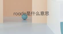 roade是什么意思 roade的中文翻译、读音、例句
