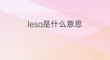 lesa是什么意思 lesa的中文翻译、读音、例句