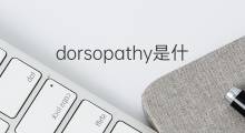 dorsopathy是什么意思 dorsopathy的中文翻译、读音、例句